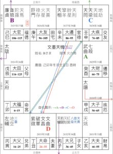 紫微斗数の命盤